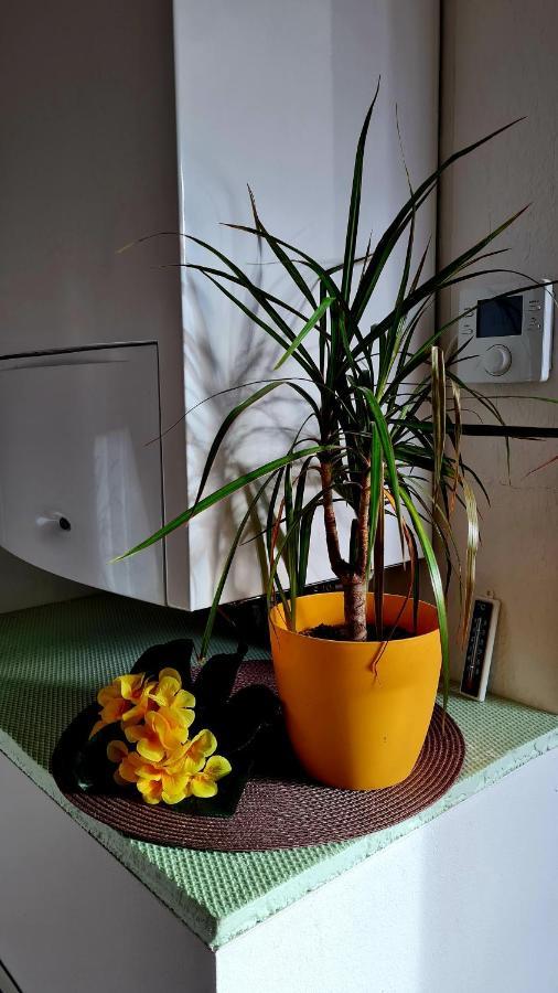 Apartement *Harzblick* นอร์ดเฮาเซิน ภายนอก รูปภาพ